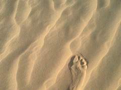 [슈른] 겨울 하늘, 백조가 춤 출 때 5