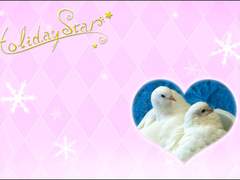 [번역]하토풀 보이프렌드 홀리데이 스타 2-02