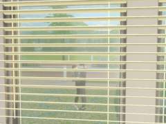 [세종] 첫키스 (sims)