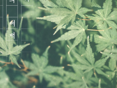 [토도이즈/토도데쿠] 사랑의 여백 - 4