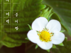 [토도이즈/토도데쿠] 사랑의 여백 - 8