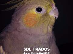 SDL 트라도스 가이드