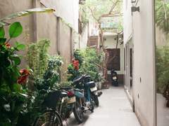 [슈홉] 하노이의 겨울