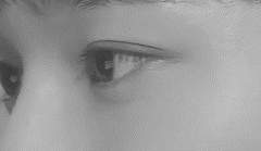 [찬첸] 그림자 연인 01