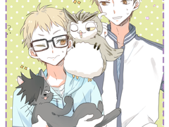 츠키시마 형제책