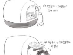 멜론이 쾌변실 치우는 방법