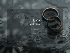 [스테세브] 불순