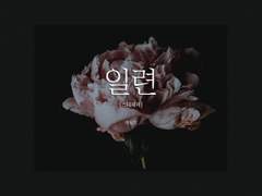 [스테세브] 일련