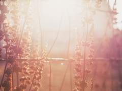 [CoC] 시나리오 전체 공지