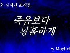 [히지긴/조직+일상AU] 죽음보다 황홀하게 _ 제41 화