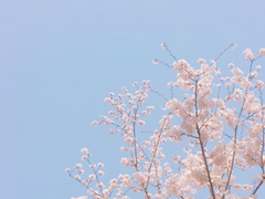 [태준윤] 조각글/물들다