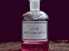 [펜드럴로키] 샤넬과 블랙잭의 상호관계