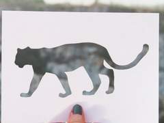 스팁버키: 파트너