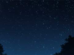 어떤 밤의 틈새에서