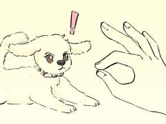 백열개의 밤 - 밤62. 현과 열매