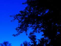 서머타임 갤럭시 익스프레스