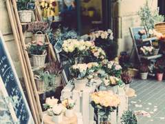 [피터토니] Afternoon