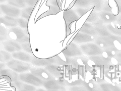 열대어가 죽기 위한 바다의 온도