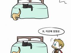 토르로키