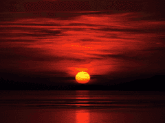 [겐지한조] 악연 4.