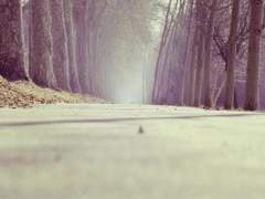 [아카야치]서로를 향한 그 길 위에서_7