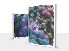 [WORK] FINDING FOREST