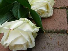 [이즈안즈] 수취인 부재