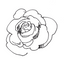 rose