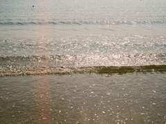 남해 및 창원으로의 여정 14