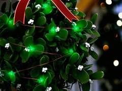 Happy Christmas, My Lover!