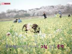 우리결혼했어요 01