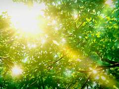 소년이여! 영원하라 01