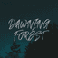 DAWNING FOREST