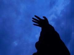 떨어지는 참새를 구하는 방법