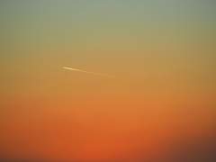 콜리어/ 이것은 아직 좋았을 때의 일이다.