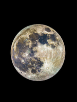 싫으면 말고 (fin.)