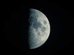 月のウサギ - 00. 블루 문