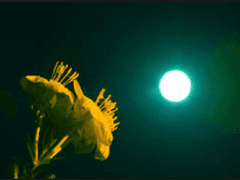 [핓클] 내 밤의 너