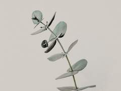 [스팁버키] 네가 다녀간 흔적