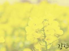 [강림/원맥] 집무실