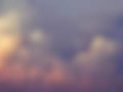 세백온 회지 미리보기