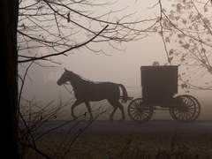 빅앙, 마차, 멀미