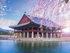 [녤옹] 발밤발밤 四