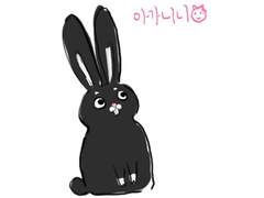 어서오세요 반류애완샵입니다_4