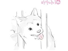 어서오세요 반류애완샵입니다_11上