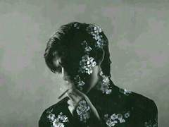 Dearbelle Camille Rosewaltz