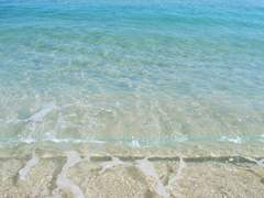 [치트퍼블] 심해 속 연인