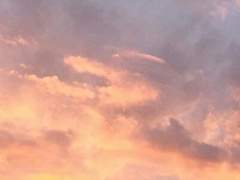 당신은 날 사랑했나요.