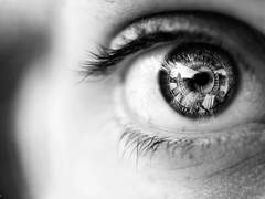 어떤 사람의 이야기