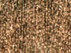 럼로우버키: 사냥개의 목줄